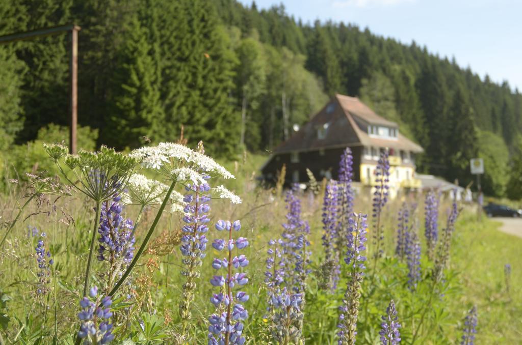 Gasthaus Hotel Loeffelschmiede Фельдберг Экстерьер фото